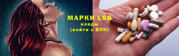 тгк Верея