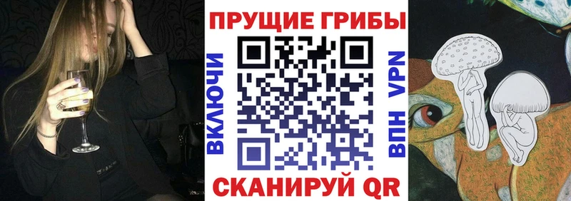 Псилоцибиновые грибы Cubensis  блэк спрут ONION  Калуга  цены наркотик 